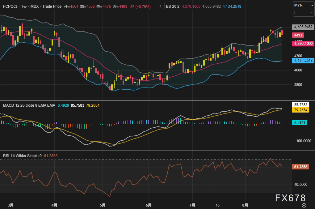 技术指标发出“黄牌警告”：棕榈油高位回调，是趋势终结还是多头蓄力？(图2)